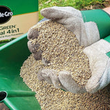 Miracle - Gro® Natural Feed And Moss Killer - FitfitGarden