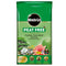Miracle - Gro® Peat Free Premium Cactus & Bonsai Compost - FitfitGarden