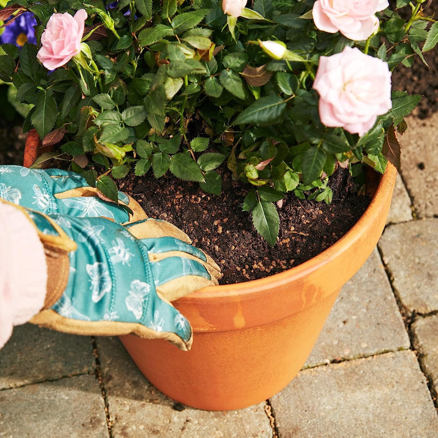 Miracle - Gro® Performance Organics All Purpose Granular Plant Food - FitfitGarden