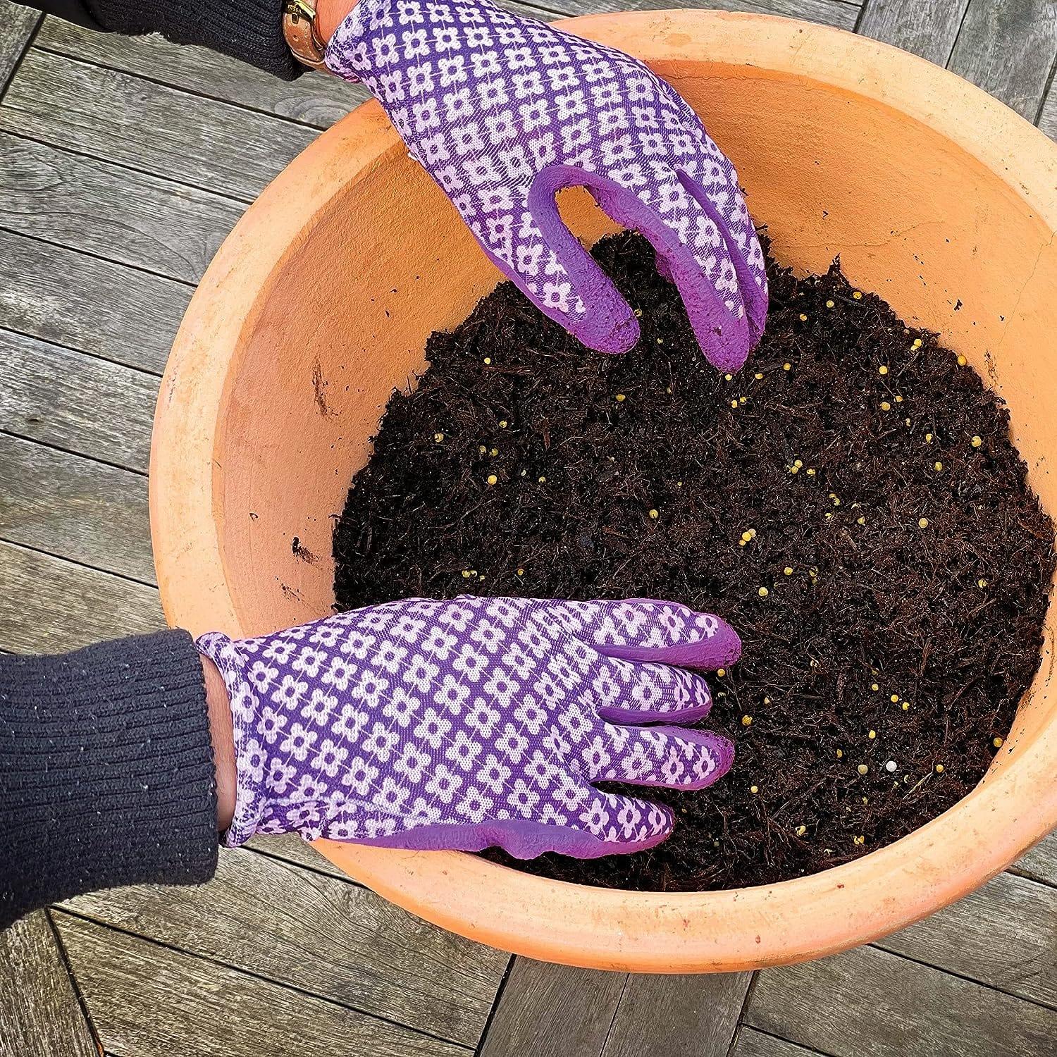 Miracle - Gro® Premium All Purpose Continuous Release Plant Food - FitfitGarden