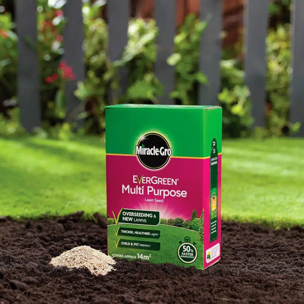 miracle-gro evergreen multi purpose lawn seed price