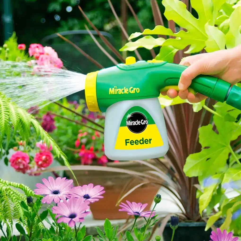 buy miracle-gro plant feeder online FitfitGarden