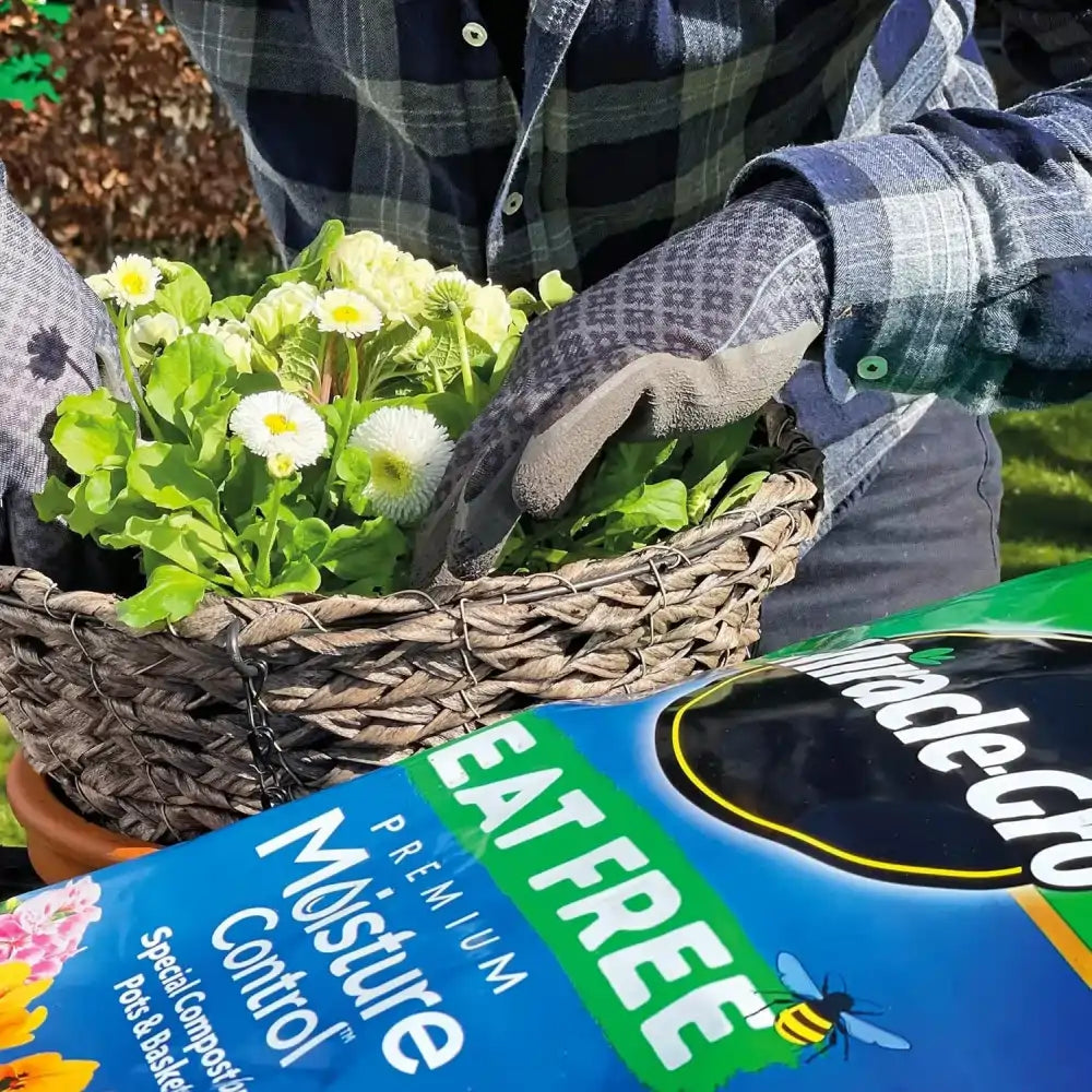 buy moisture control compost 40 litre UK