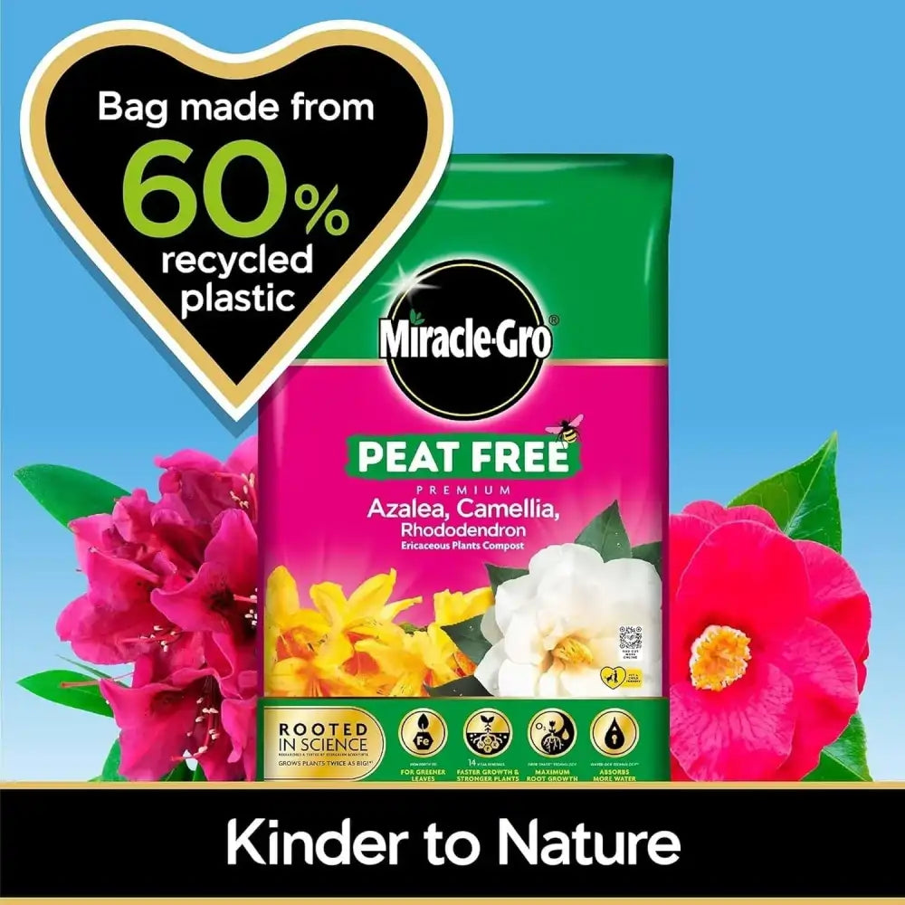 buy ericaceous compost 10 litre UK