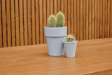 ronseal garden paint pebble 2.5L