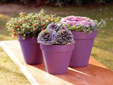 Ronseal Garden Paint