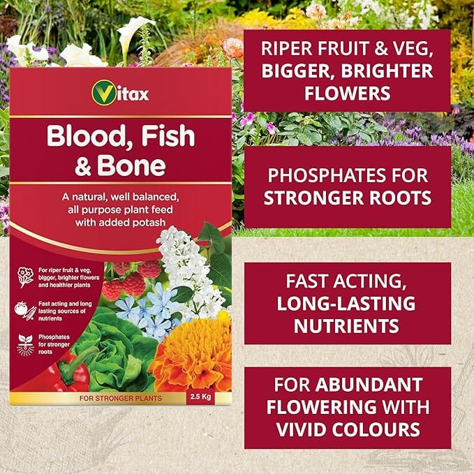 Vitax Blood Fish and Bone Fertiliser, 2.5kg - FitfitGarden