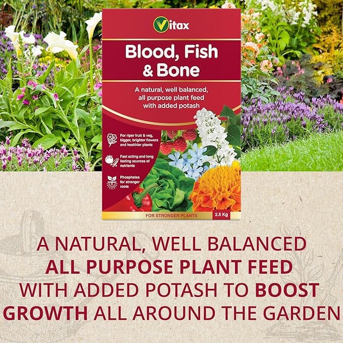 Vitax Blood Fish and Bone Fertiliser, 2.5kg - FitfitGarden