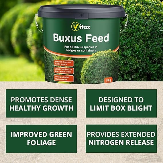 Vitax Buxus Feed, 5kg Tub - FitfitGarden