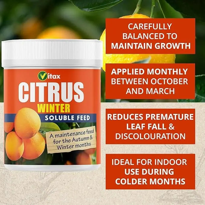 Vitax Citrus Feed for Winter 200g - FitfitGarden