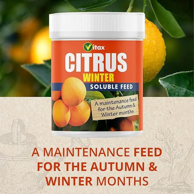 Vitax Citrus Feed for Winter 200g - FitfitGarden
