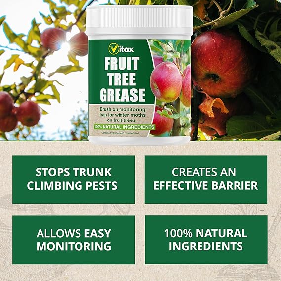 Vitax Fruit Tree Grease – 200g - FitfitGarden