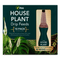 Vitax House Plant Drip Feeder, 30ml x 10 - FitfitGarden