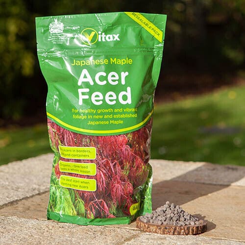 Vitax® Japanese Maple Acer Feed 900g - FitfitGarden