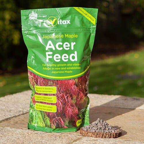 Vitax® Japanese Maple Acer Feed 900g - FitfitGarden