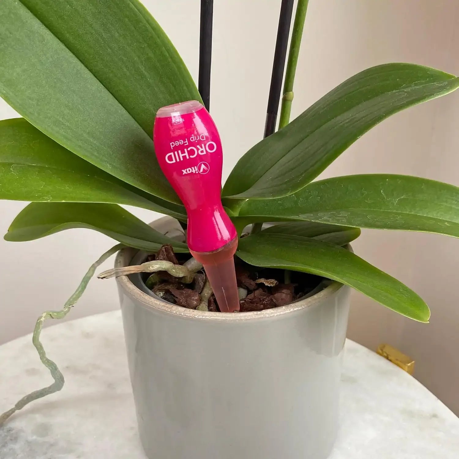 orchid drip feed bottles for plant care