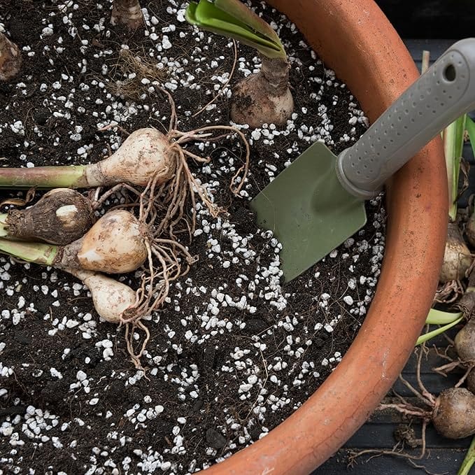 VITAX Perlite 10LT - FitfitGarden