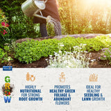 buy vitax phostrogen plant food 80 can UK