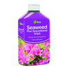 Vitax Seaweed Plus Sequestered Iron - 1 Litre - FitfitGarden