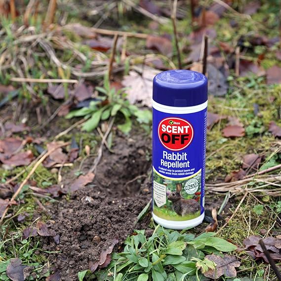 Vitax Stay Off Rabbit Repellent 500g - FitfitGarden