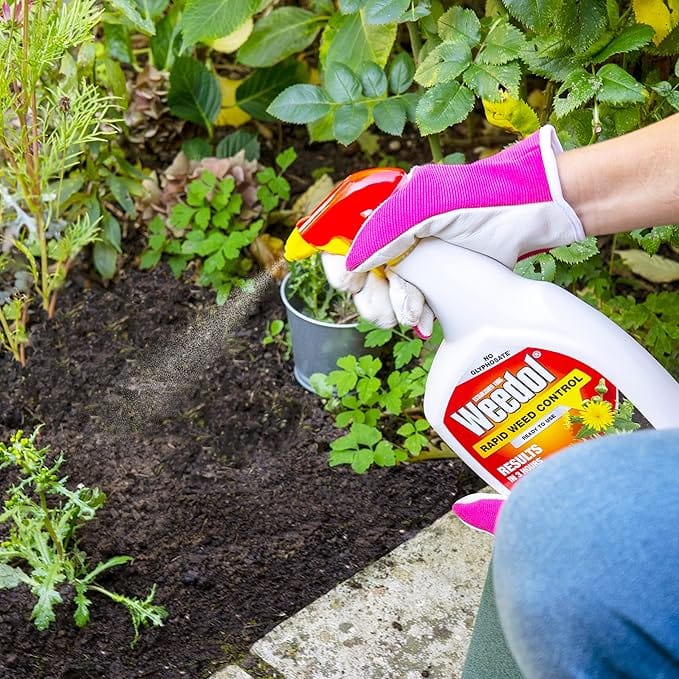 Weedol Rapid Weedkiller, Ready To Use, 1L - FitfitGarden