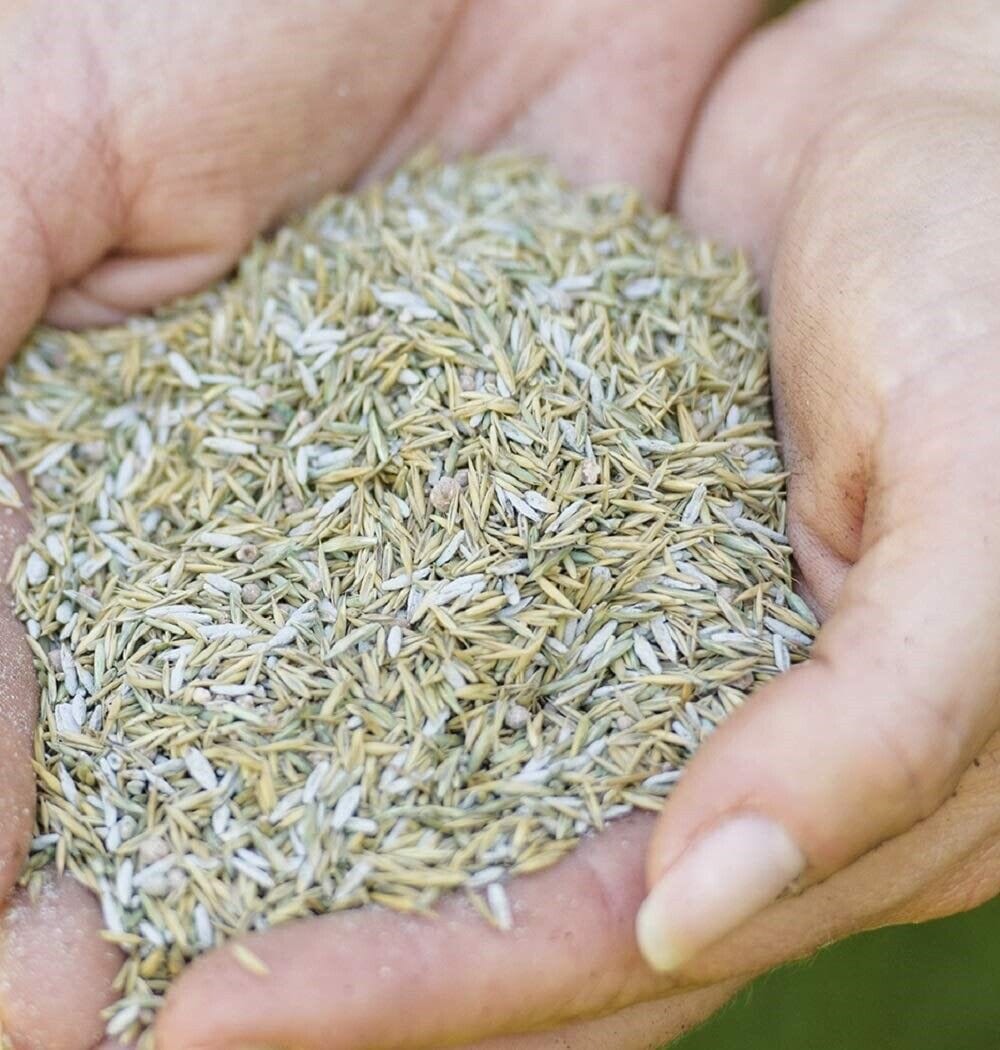 Westland® Gro - Sure Aqua Gel Coated Smart Grass Lawn Seed 10kg - FitfitGarden