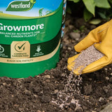 Westland® Growmore Garden Fertiliser 8kg - FitfitGarden