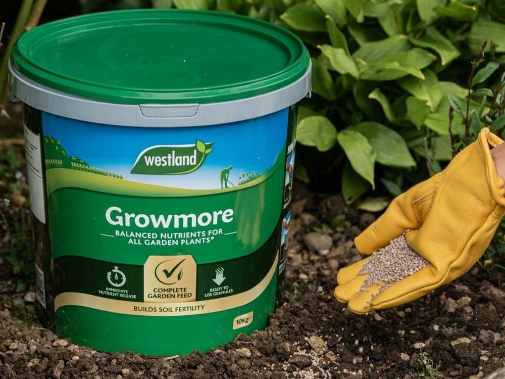 Westland® Growmore Garden Fertiliser 8kg - FitfitGarden