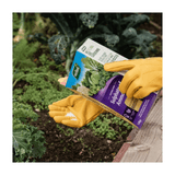 Westland Sulphate Of Ammonia Nitrogen Based Vegetable Food - 1.5kg