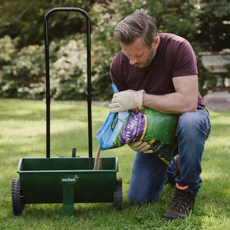 westland lawn sand top dressing 16kg