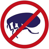 Zero In® Flea Killer Trap - FitfitGarden