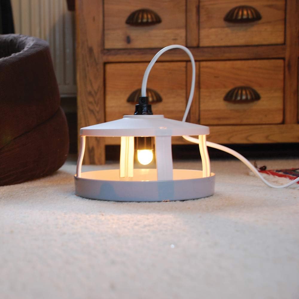 Zero In® Flea Killer Trap - FitfitGarden