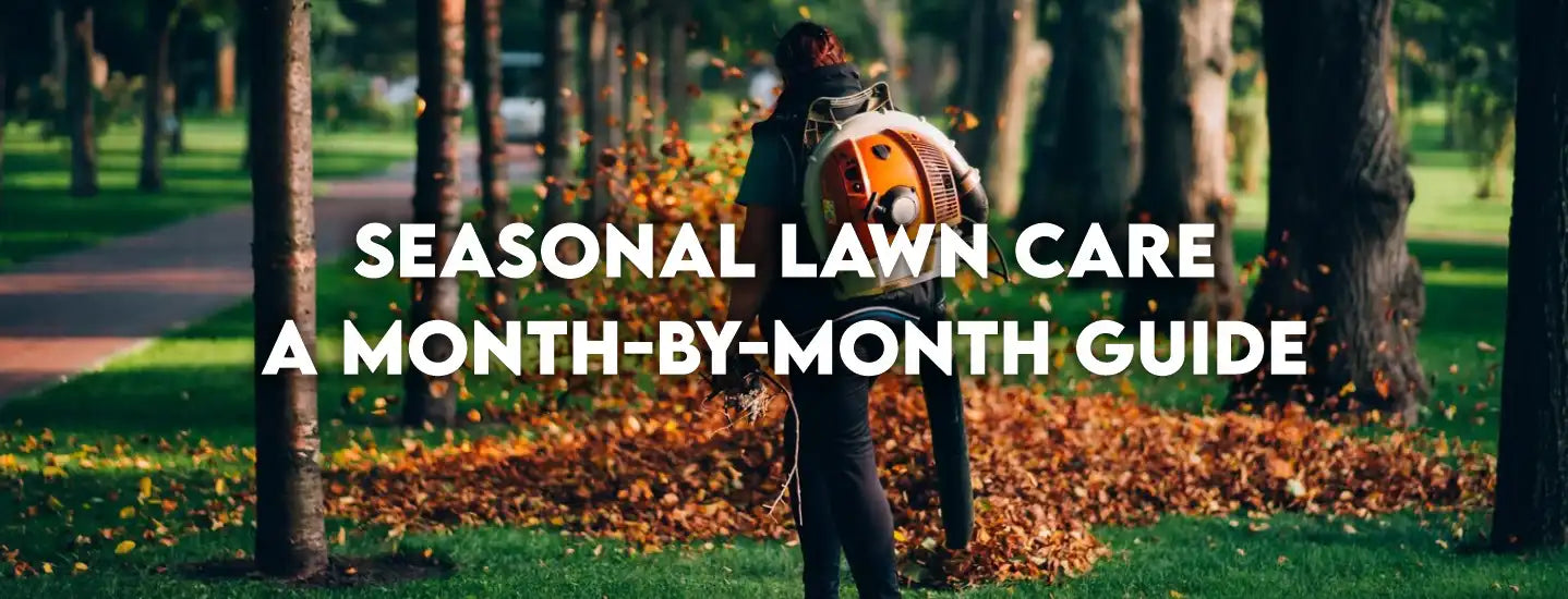 Seasonal Lawn Care: A Month-by-Month Guide