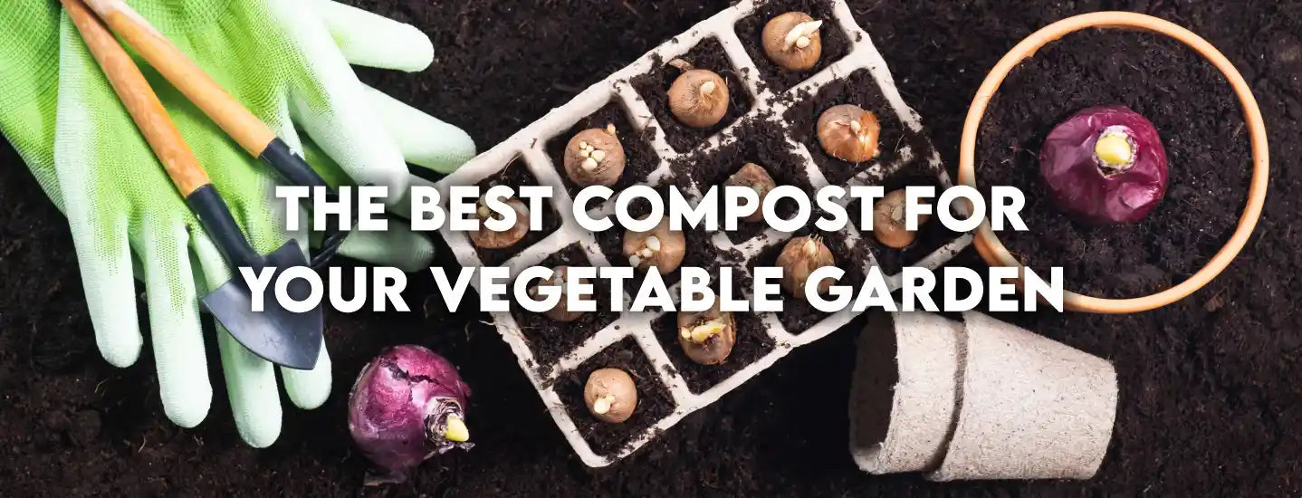 The Best Compost for Your Vegetable Garden