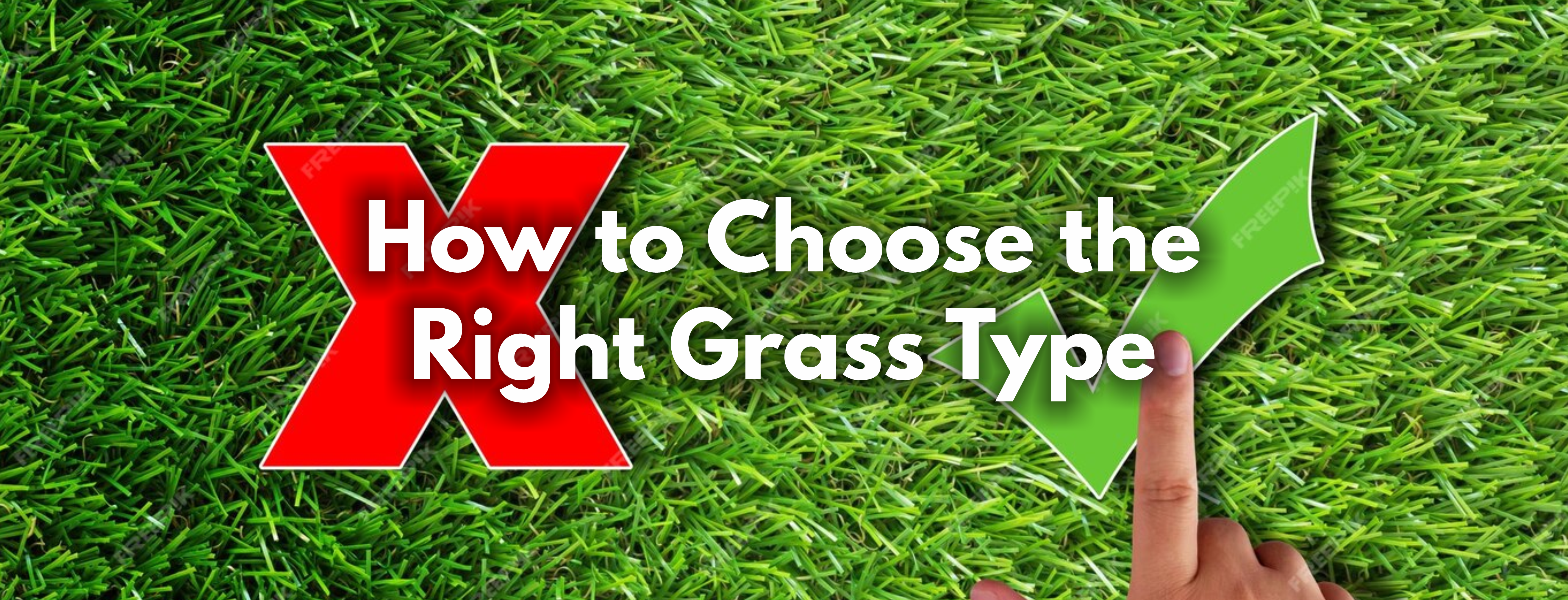 How to Choose the Right Grass Type