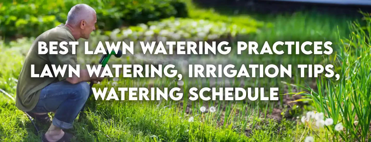 Best Lawn Watering Practices lawn watering, irrigation tips, watering schedule
