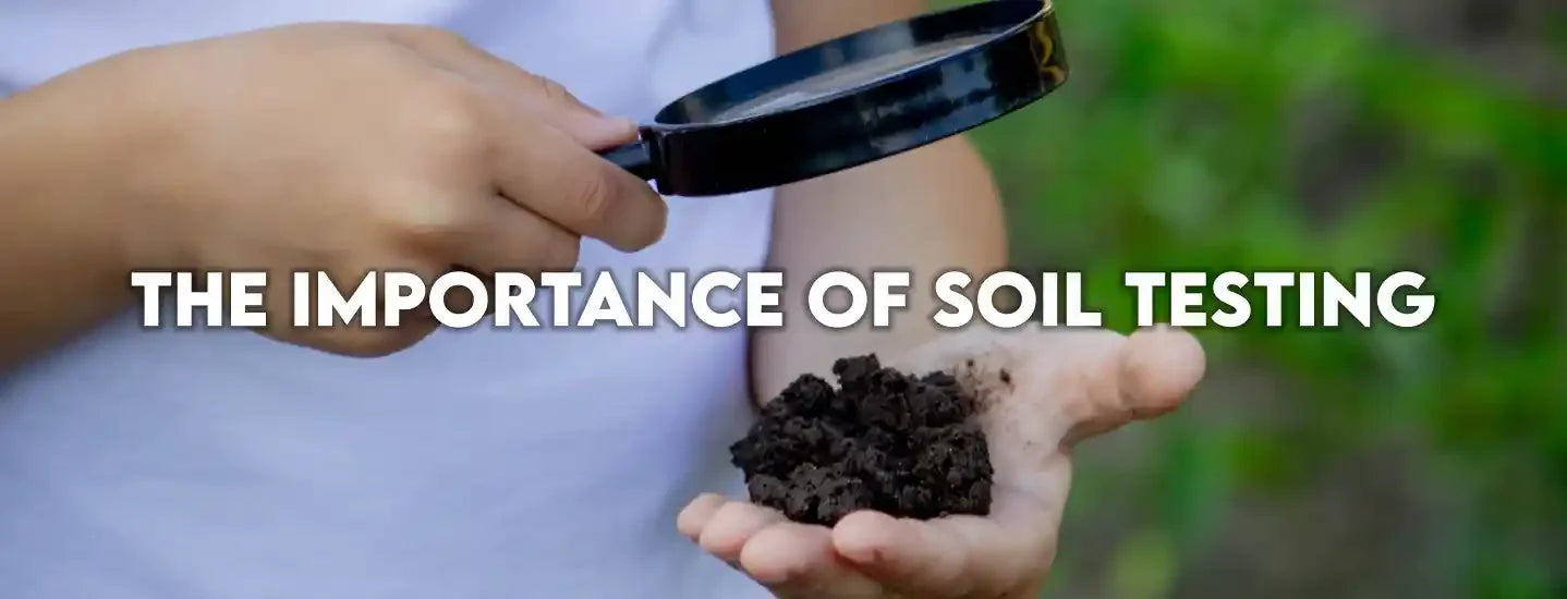 The Importance of Soil Testing