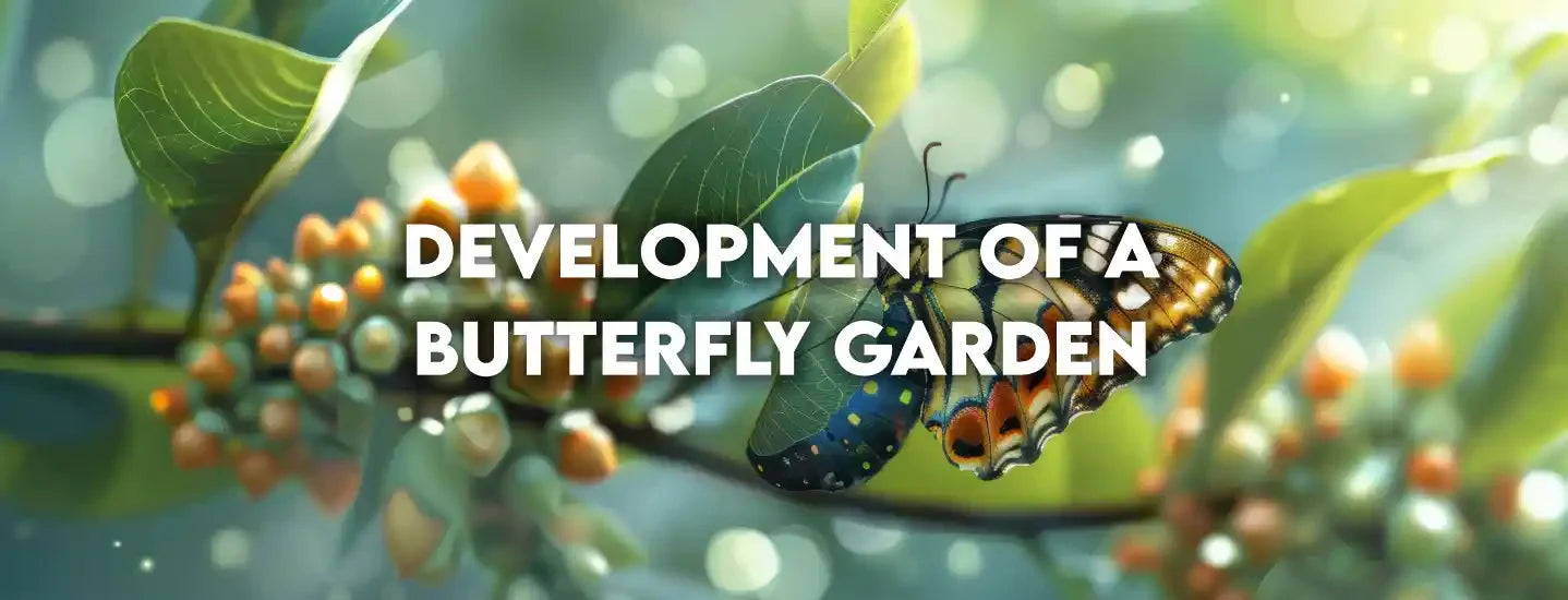 Development of a Butterfly Garden