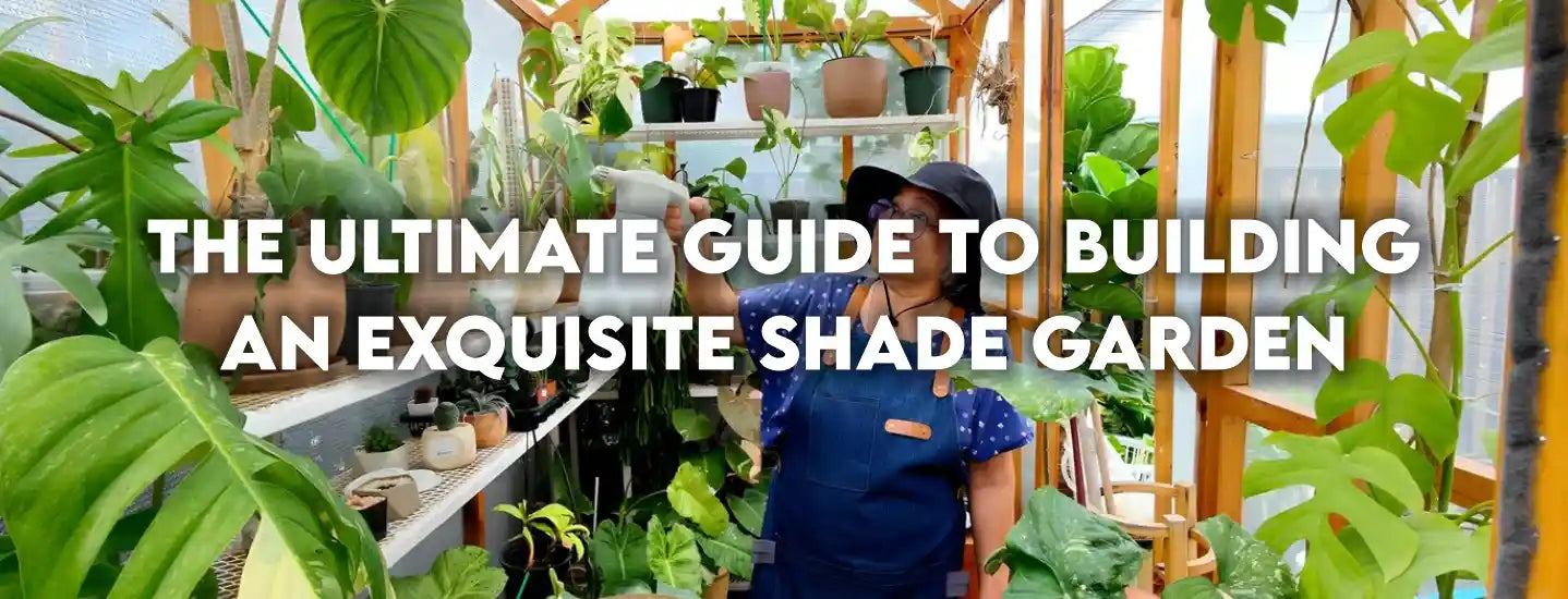 The Ultimate Guide to Building an Exquisite Shade Garden