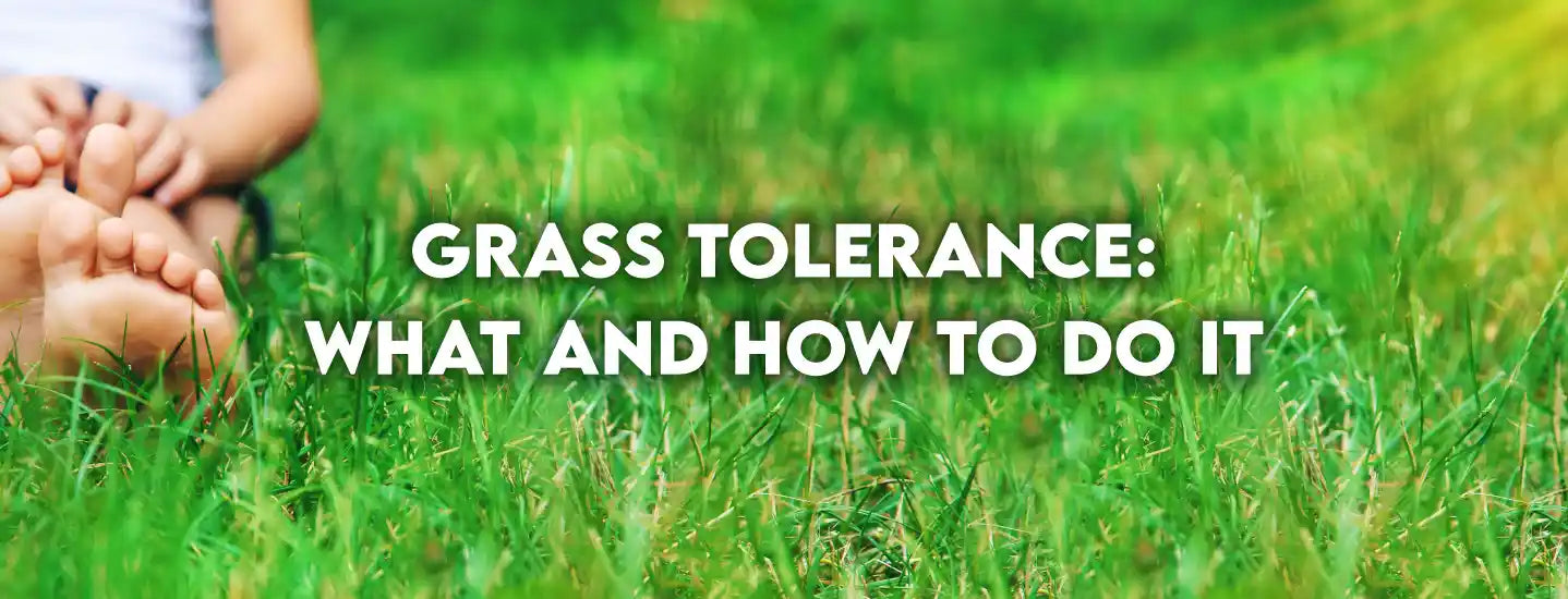 Grass tolerance: what and how to do it