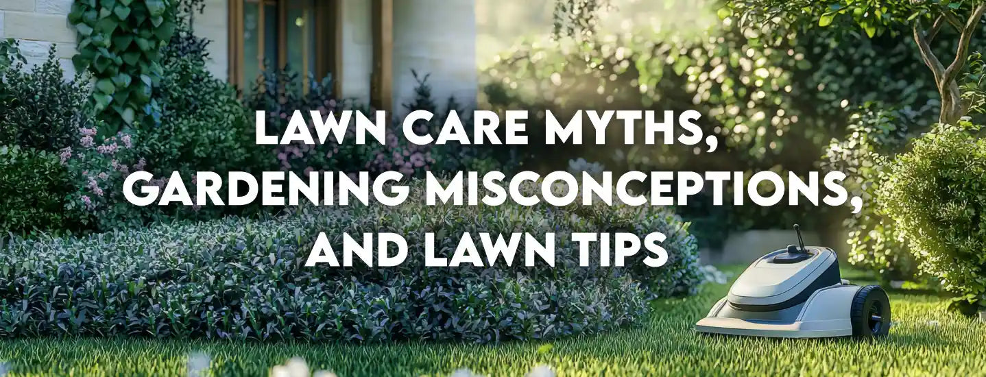 Manicured garden with flowers, shrubs, sunlight, and a robotic lawn mower at FitFit Garden