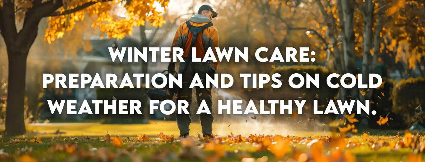Winter lawn care: Preparation and tips on cold weather for a healthy lawn.