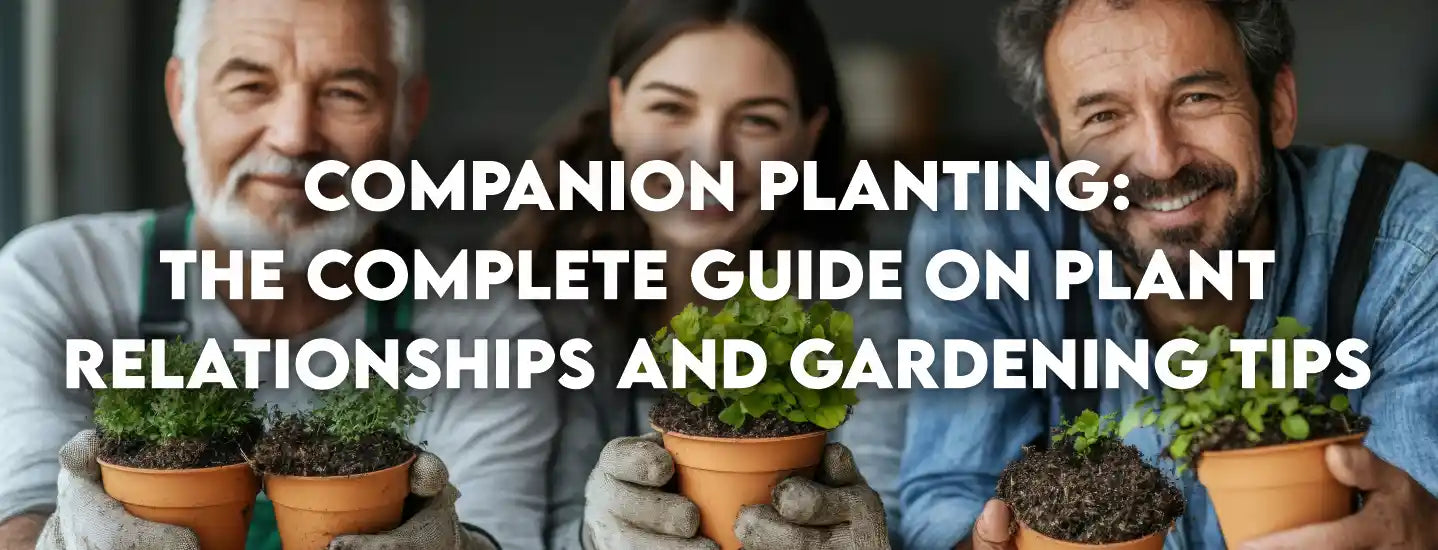 Companion Planting: The Complete Guide on Plant Relationships and Gardening Tips