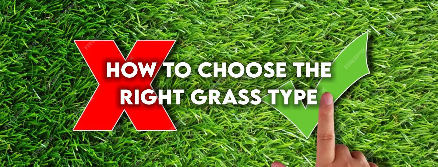 How to Choose the Right Grass Type