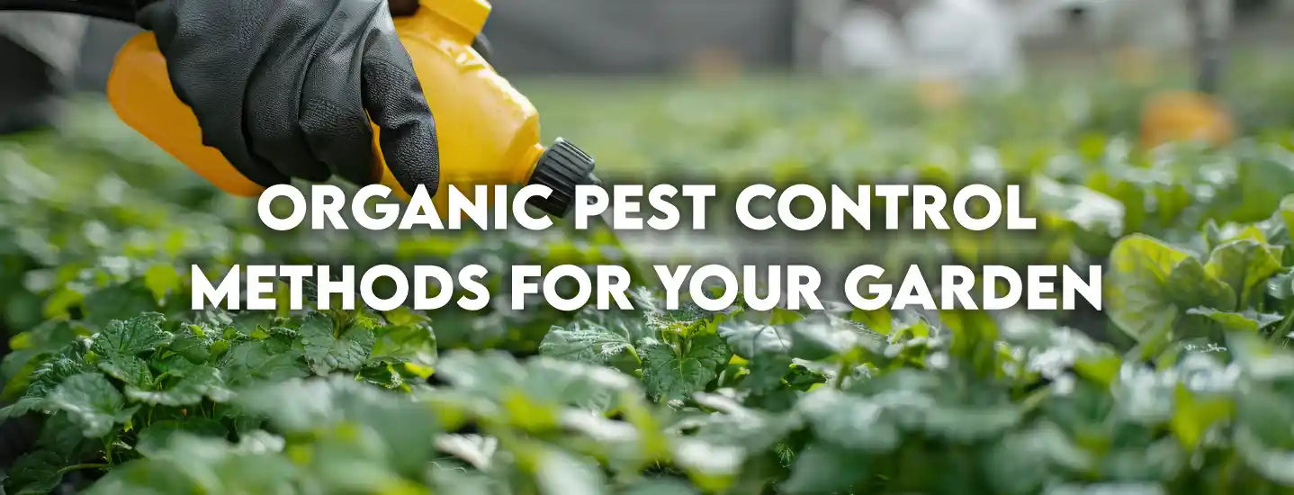 Organic Pest Control Methods for Your Garden