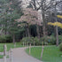 Exploring the Tranquility of Kyoto Garden in Holland Park