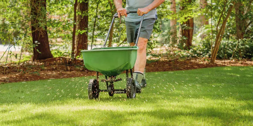 How & When to overseed a UK lawn – Spring vs Autumn