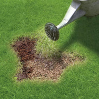 Miracle-Gro® Patch Magic Lawn Repair