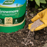 Westland® Growmore Garden Fertiliser 8kg