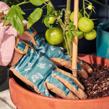 Miracle-Gro® Performance Organics Fruit & Veg Granular Plant Food